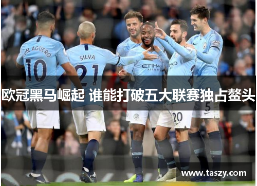 欧冠黑马崛起 谁能打破五大联赛独占鳌头